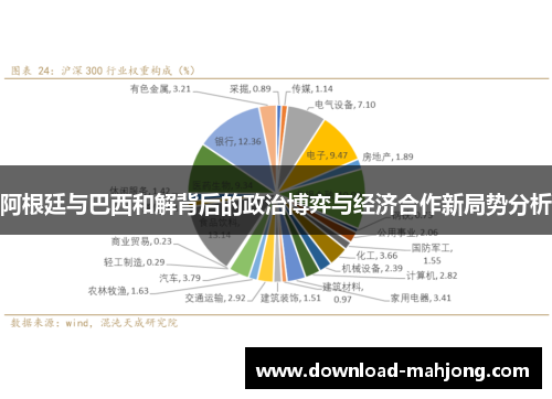 阿根廷与巴西和解背后的政治博弈与经济合作新局势分析 阿根廷与巴西和解背后的政治博弈与经济合作新局势分析